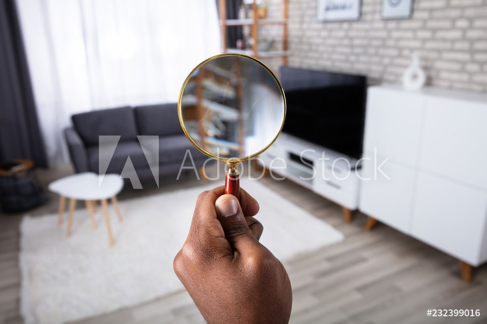 living room with magnifying glass